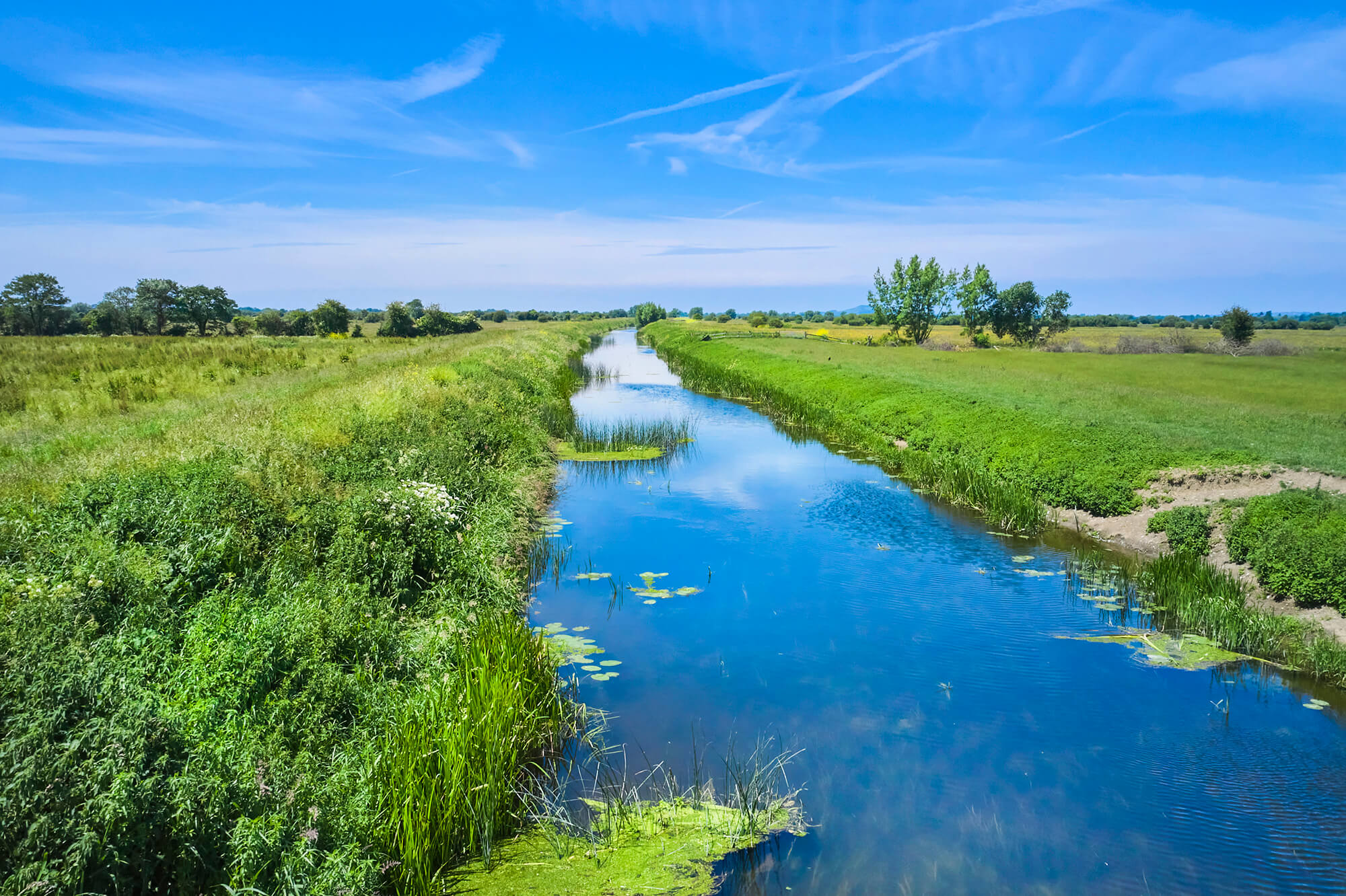 Peatland featured image